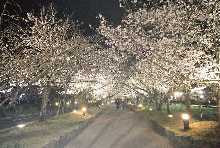 電気工事　大村市